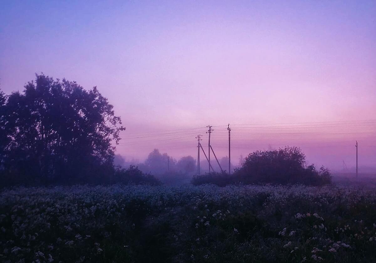 读欧乐影院时容易忽略的证据空白：用从叙事节奏看出来补全理解