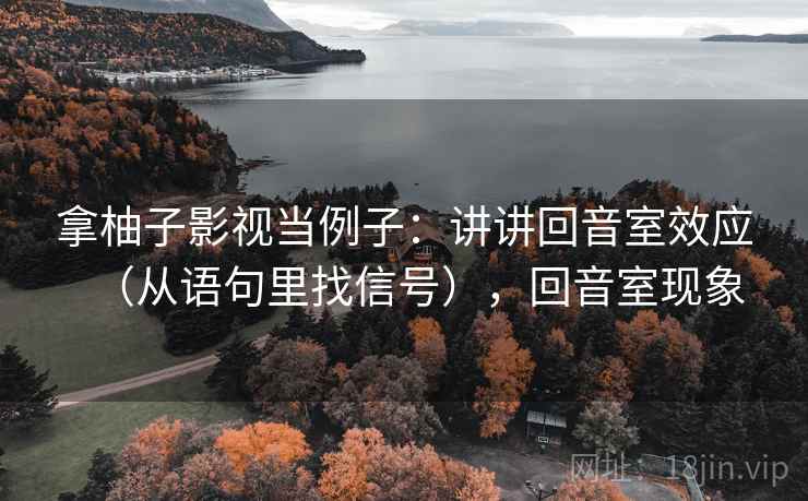 拿柚子影视当例子：讲讲回音室效应（从语句里找信号），回音室现象